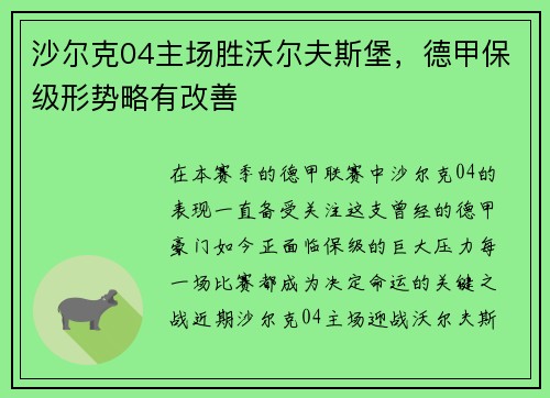 沙尔克04主场胜沃尔夫斯堡，德甲保级形势略有改善